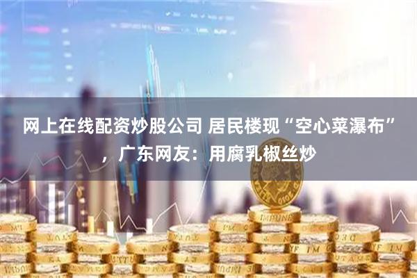 网上在线配资炒股公司 居民楼现“空心菜瀑布”，广东网友：用腐乳椒丝炒